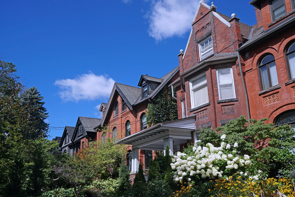 Street, residential, Row, old, brick, large, Rosedale, semi-detached, Victorian, home, house, Toronto, gable, brick, summer, flowers, lush, foliage, tree, garden, daisy, hydrangea, bush